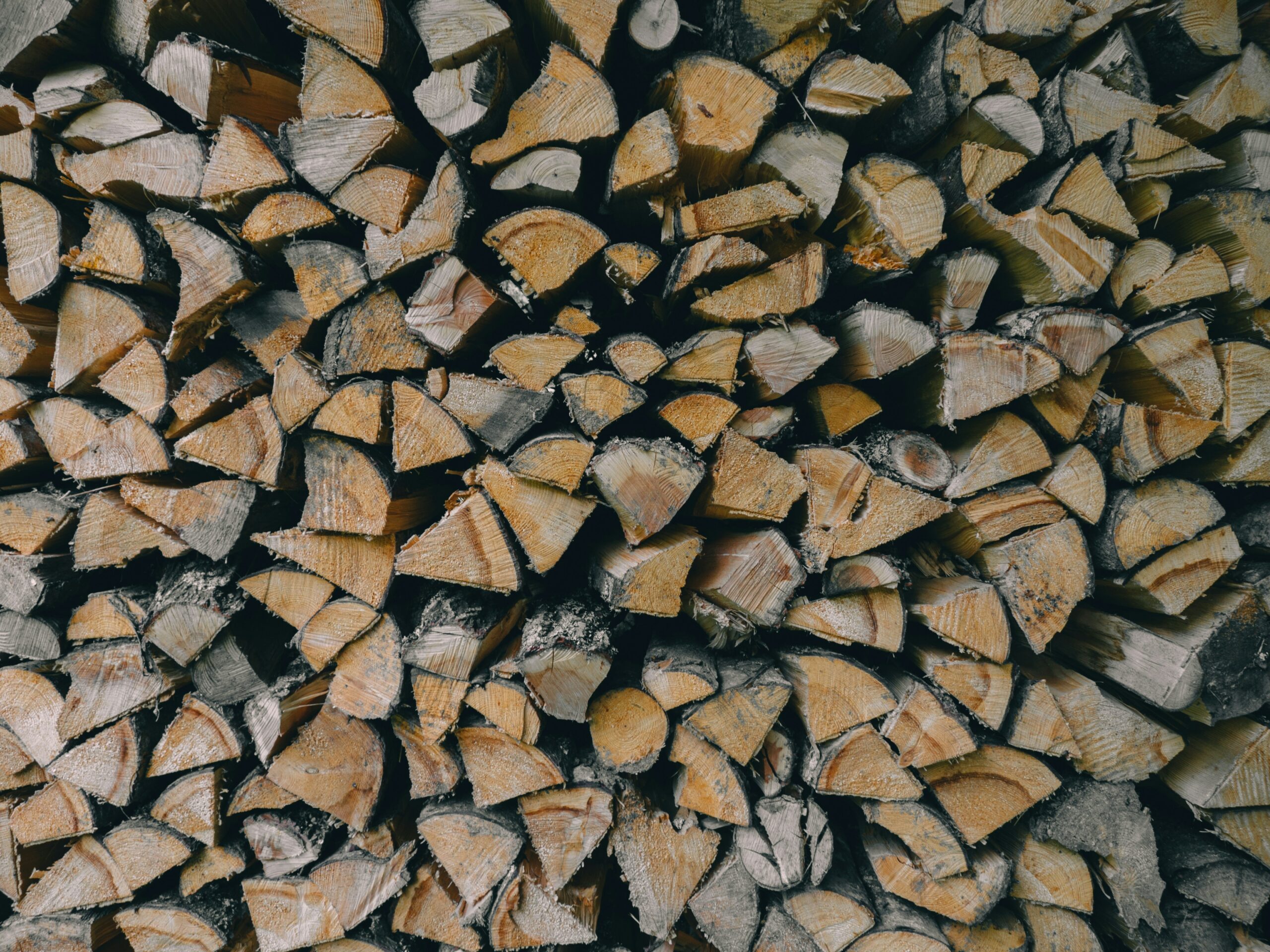 Vom Baum zum Kamin: Ein umfassender Leitfaden zur Vorbereitung Ihres Winterbrennholzes